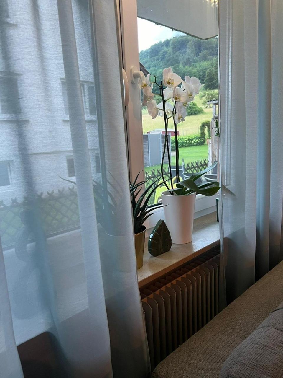 Feriendomizilaufderzollernalb * Albstadt